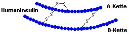 Insulin